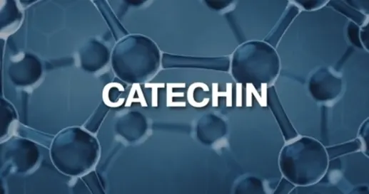Catechin