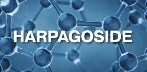 Harpagoside