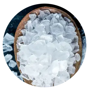 White Willow Bark Extract